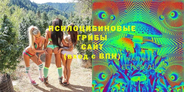 круглые Белокуриха