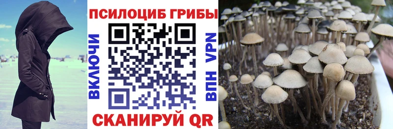 сайты даркнета телеграм  наркотики  Вуктыл  Псилоцибиновые грибы ЛСД 